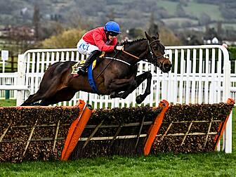 'We have the best horses' | Sa...